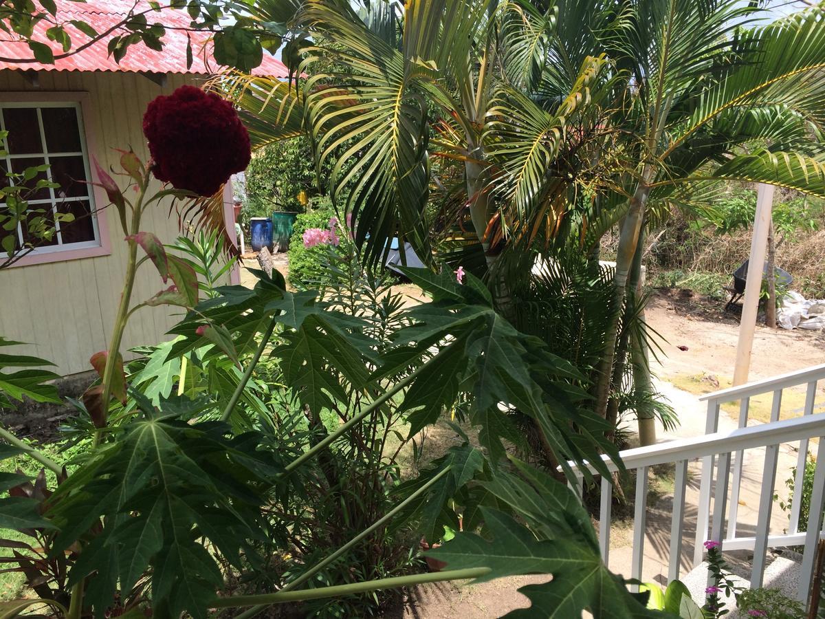 Posada Miss Portia South West Bay المظهر الخارجي الصورة