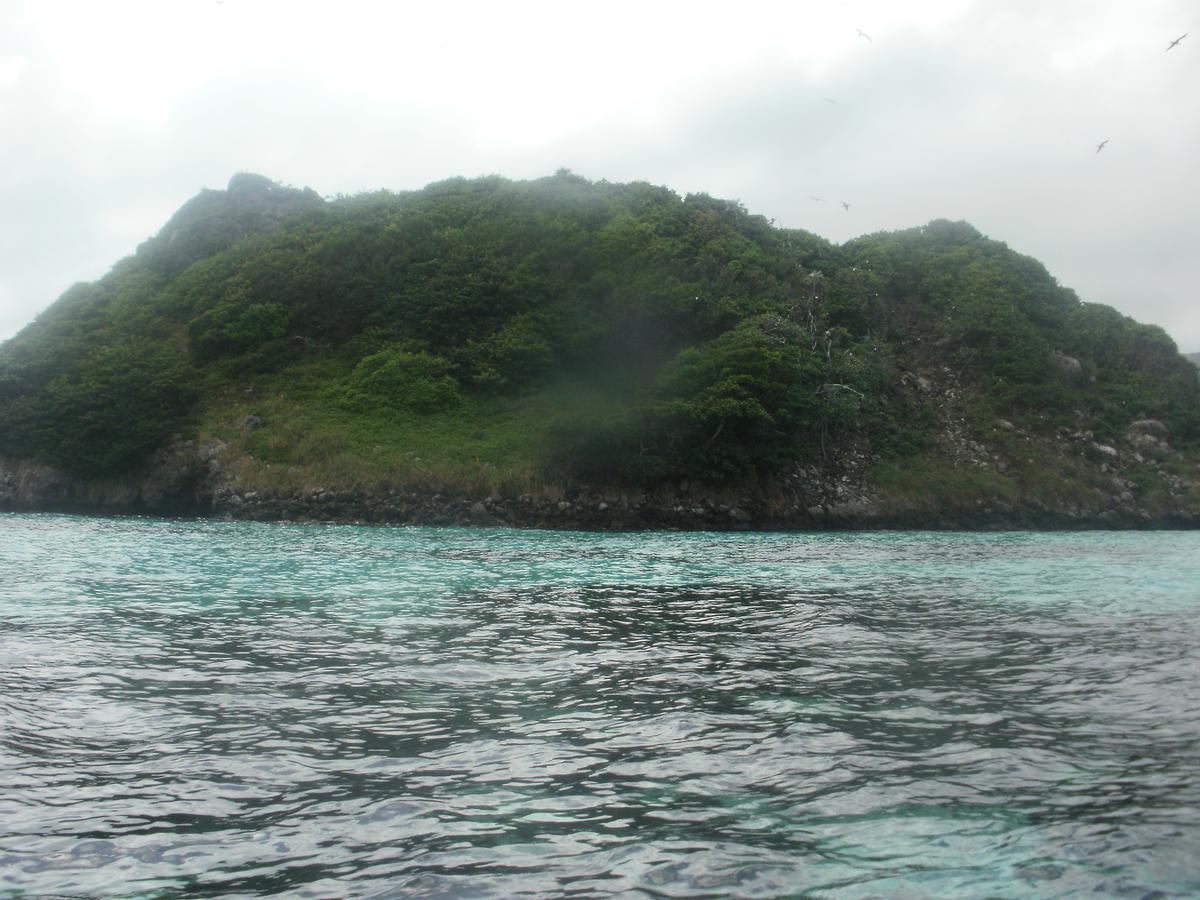 Posada Miss Portia South West Bay المظهر الخارجي الصورة