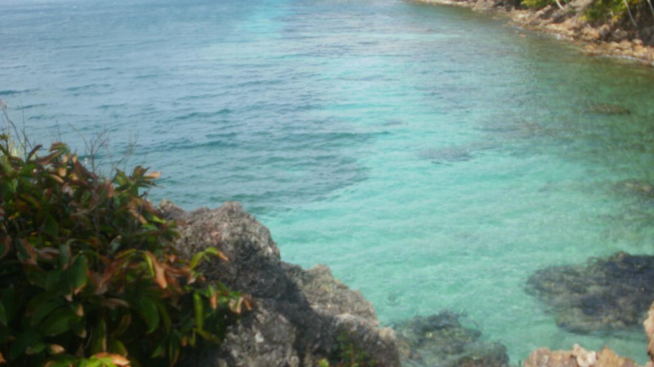 Posada Miss Portia South West Bay المظهر الخارجي الصورة