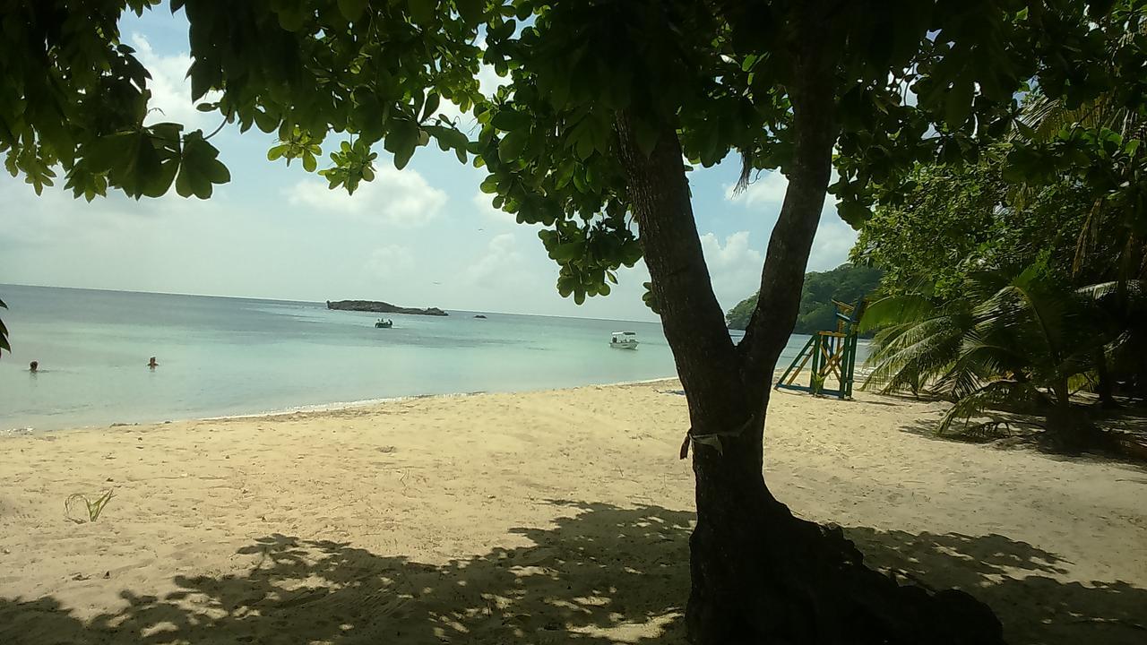 Posada Miss Portia South West Bay المظهر الخارجي الصورة