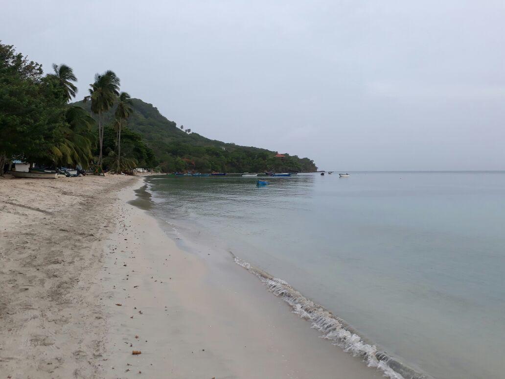 Posada Miss Portia South West Bay المظهر الخارجي الصورة