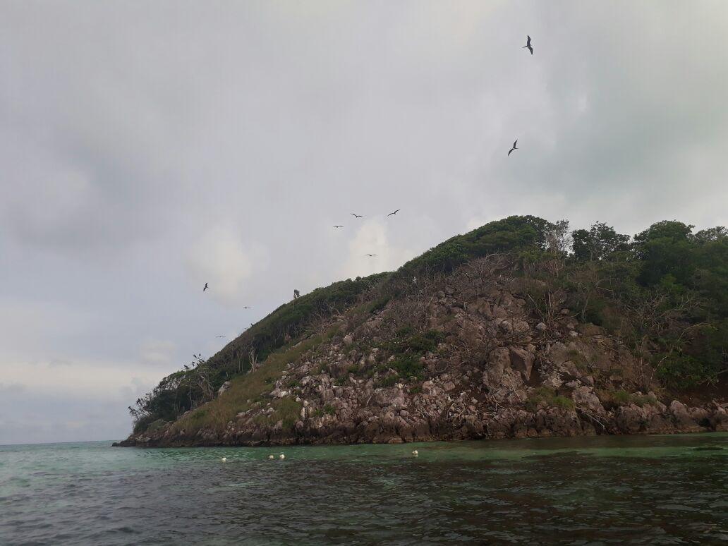 Posada Miss Portia South West Bay المظهر الخارجي الصورة
