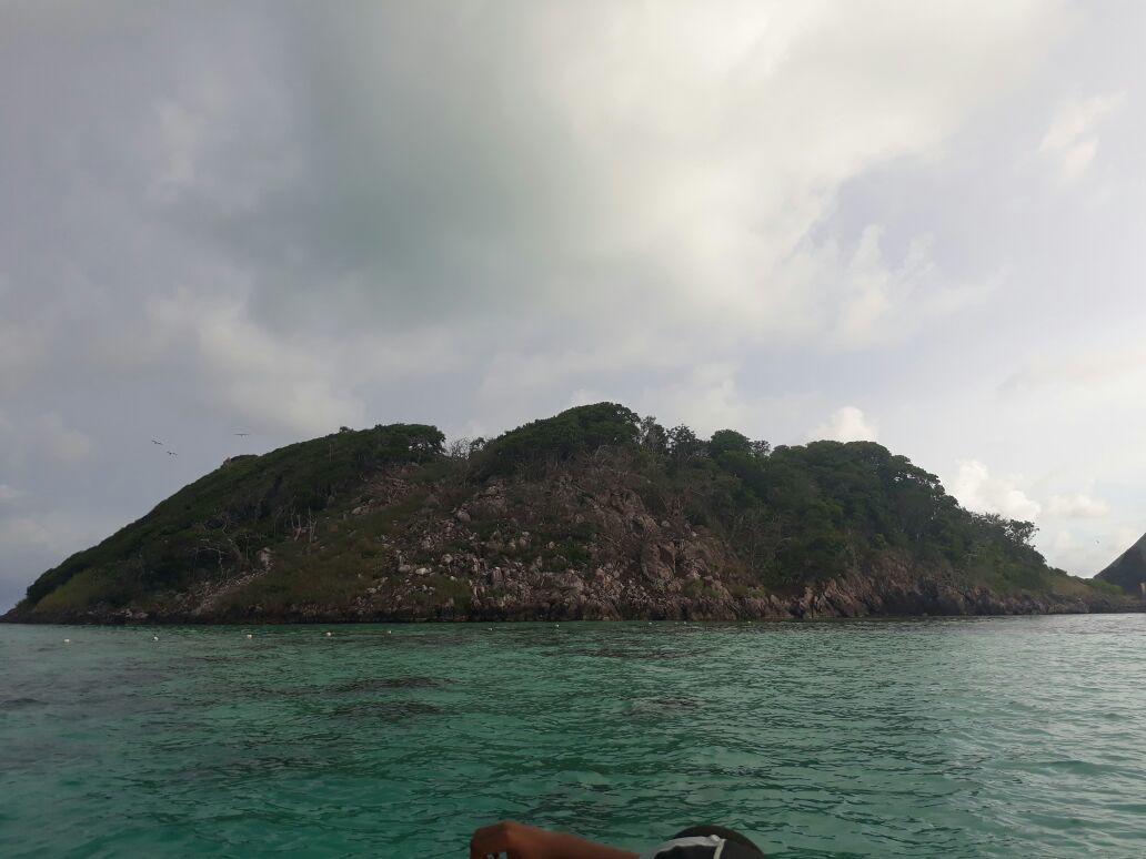 Posada Miss Portia South West Bay المظهر الخارجي الصورة