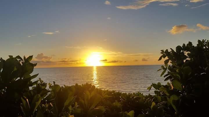 Posada Miss Portia South West Bay المظهر الخارجي الصورة