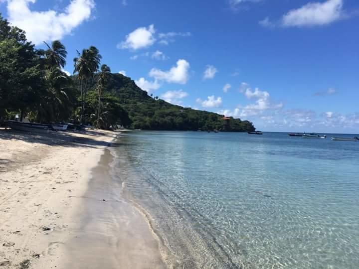 Posada Miss Portia South West Bay المظهر الخارجي الصورة