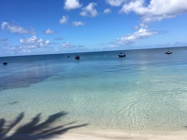 Posada Miss Portia South West Bay المظهر الخارجي الصورة