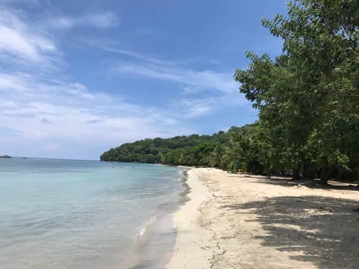 Posada Miss Portia South West Bay المظهر الخارجي الصورة
